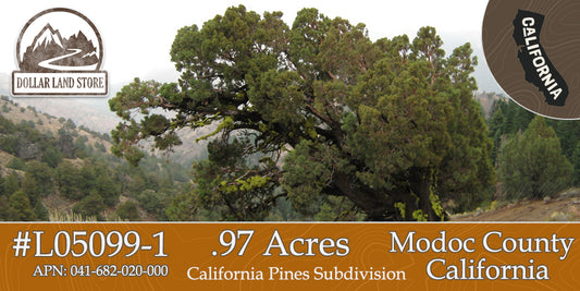 #L05099-1 .97 Acre Parcel in California Pines Modoc County, California $5,899.00 ($112.82/Month)