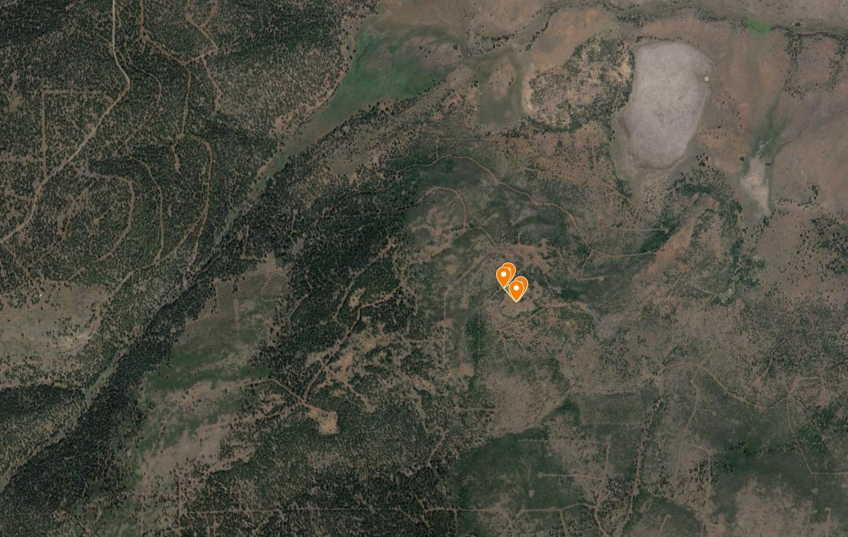 #L05099-1 .97 Acre Parcel in California Pines Modoc County, California $5,899.00 ($112.82/Month)