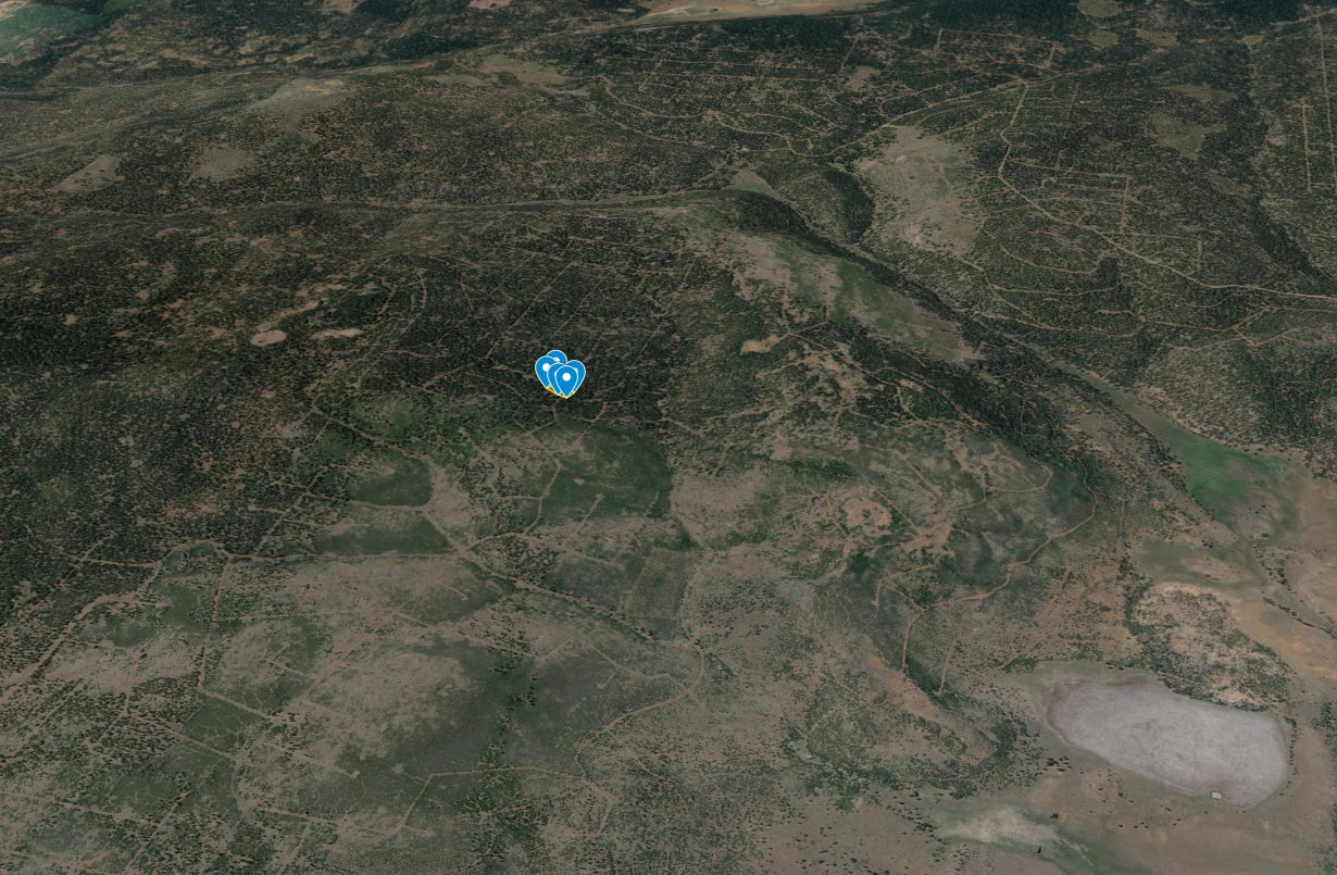 #L100205-1 1.46 Acres / Wooded Lot in California Pines, Modoc CA $7,499.00 ($132.35 / Month)