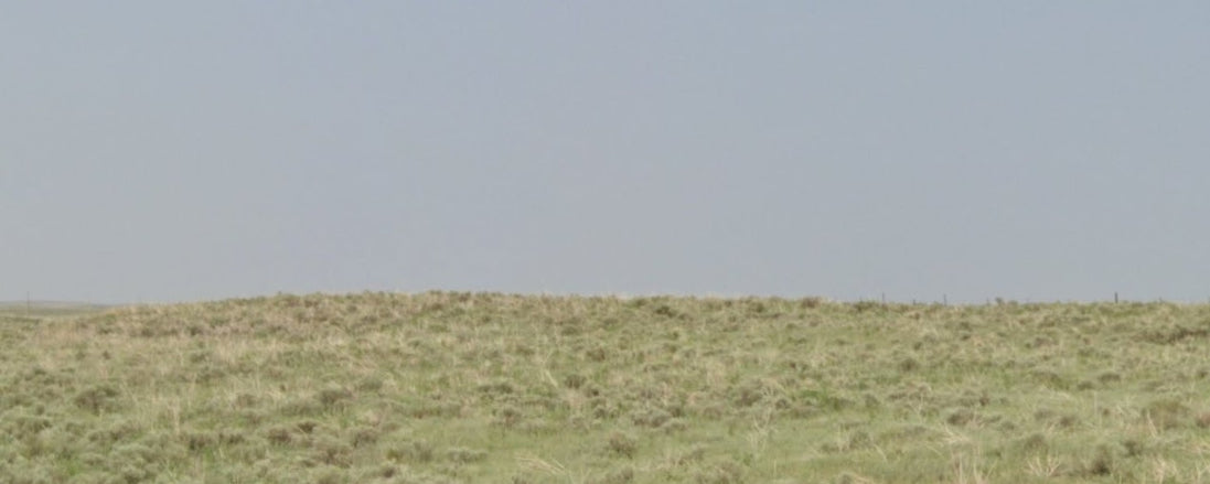 #L11046-1 Large 35-Acre Lot in Bent County, Colorado – Rural Setting & Scenic View $24,999.00 ($269.33/ Month)