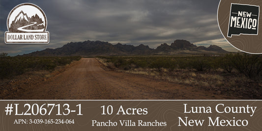 #L206713-1 10 Acres in Luna County, NM $8,999 ($125.25/Month)