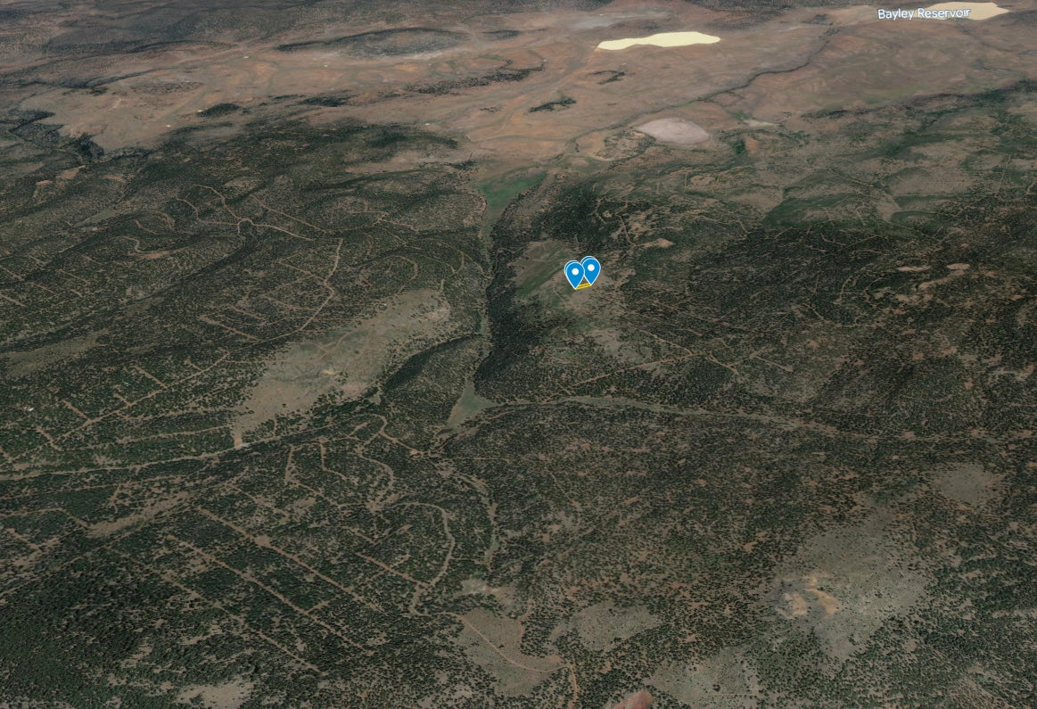 #L209849-1 .95 Acre Parcel in California Pines Modoc County, California $8,299.00 ($129.96/Month)