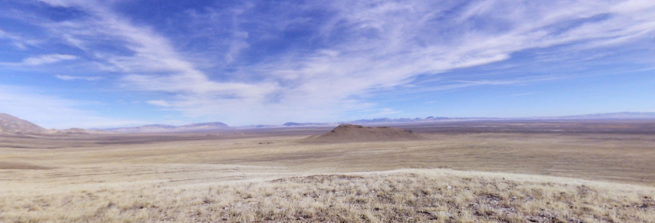 #L40068-1 37.40 Acres in Humboldt County, NV $19,995.00 ($222.56/Month)
