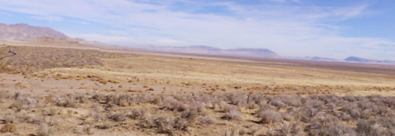 #L40068-1 37.40 Acres in Humboldt County, NV $19,995.00 ($222.56/Month)