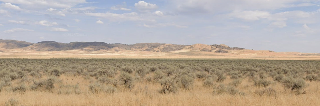 #L40072-1 39 Acres in Humboldt County, NV $19,995.00 ($222.56/Month)