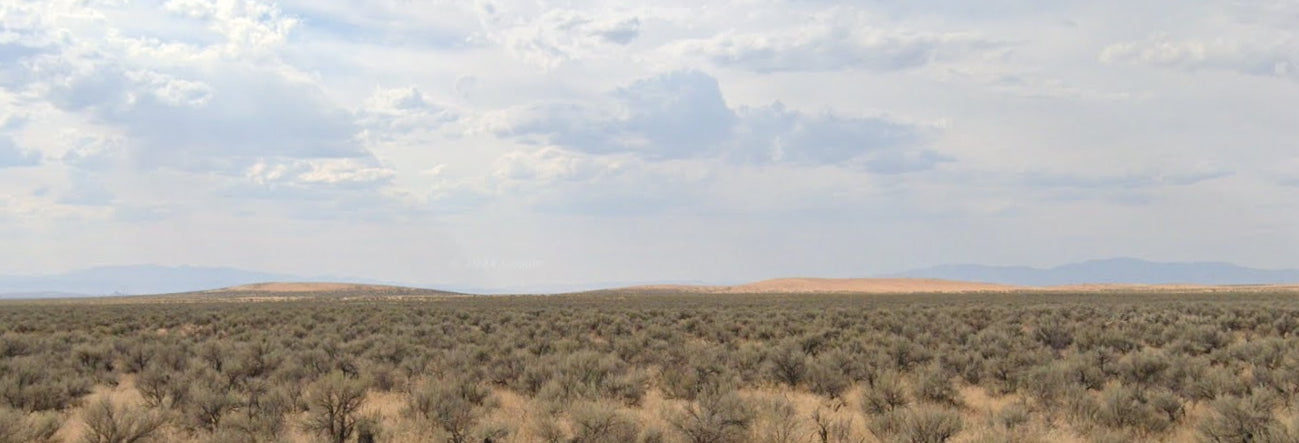 #L40072-1 39 Acres in Humboldt County, NV $19,995.00 ($222.56/Month)