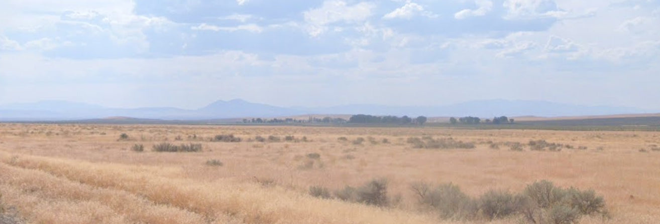 #L40073-1 39.53 Acres in Humboldt County, NV $19,995.00 ($222.56/Month)