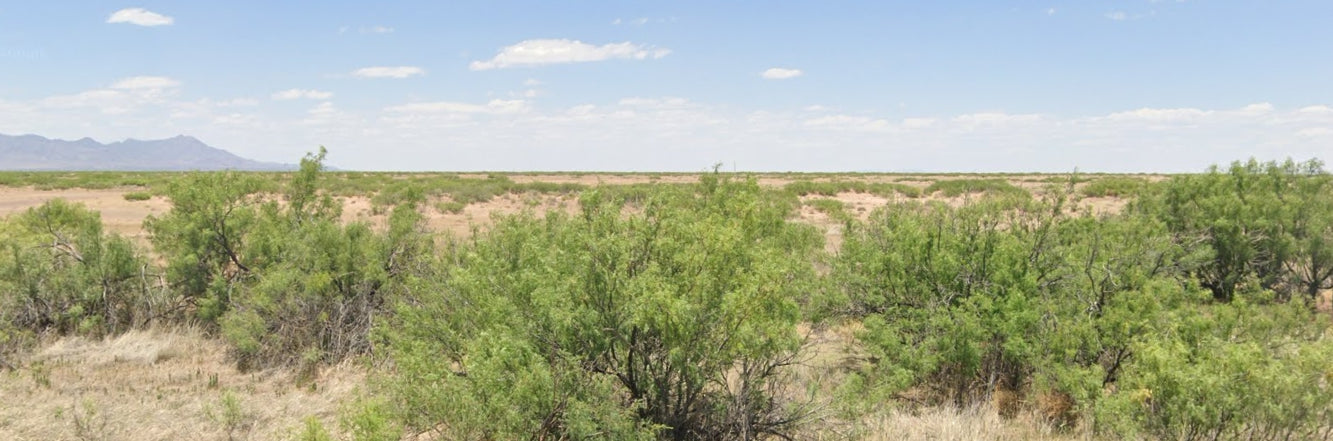 #L40074-1 10 Acres in Luna County, NM $8,999 ($111.34/Month)