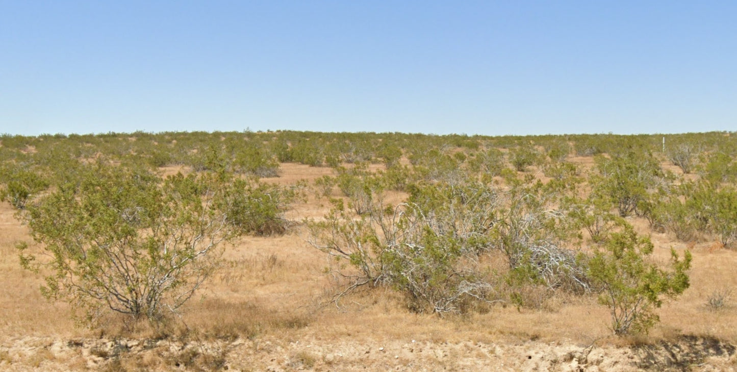 L40168-1 .23 Acre Residential lot in California City, Kern County, CA $2,999.00 ($47.21/Month)