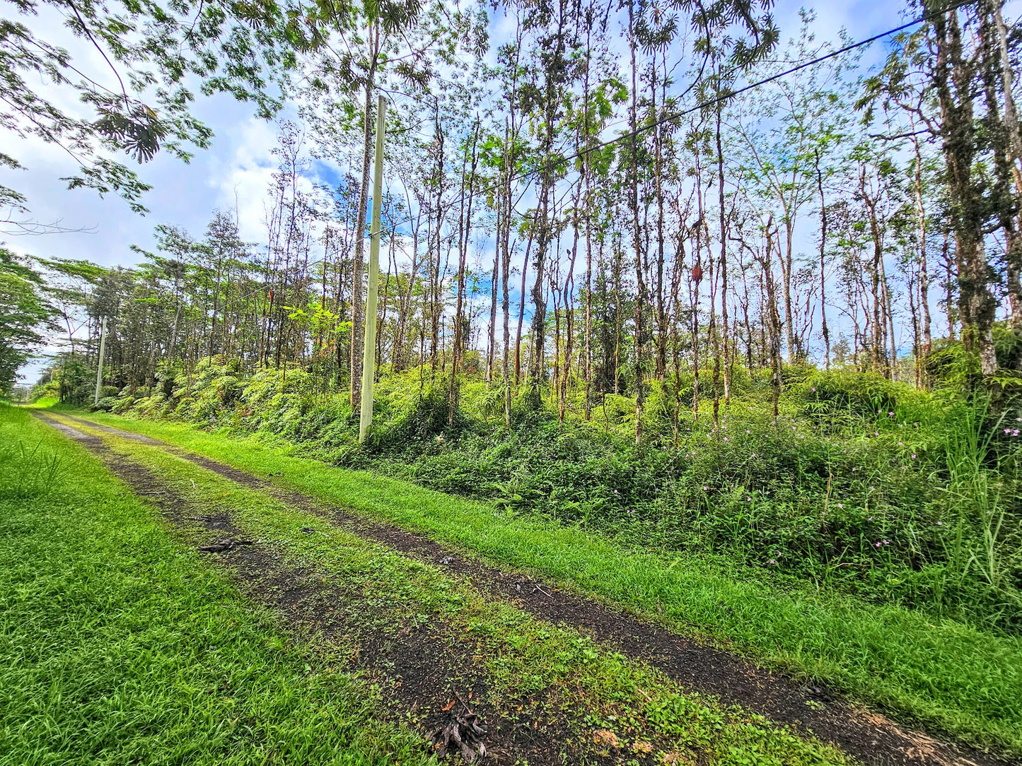 #L40197-1 Beautiful Lot in Nanawale Estates, Hawaii $19,499.00 ($239.25 / Month)