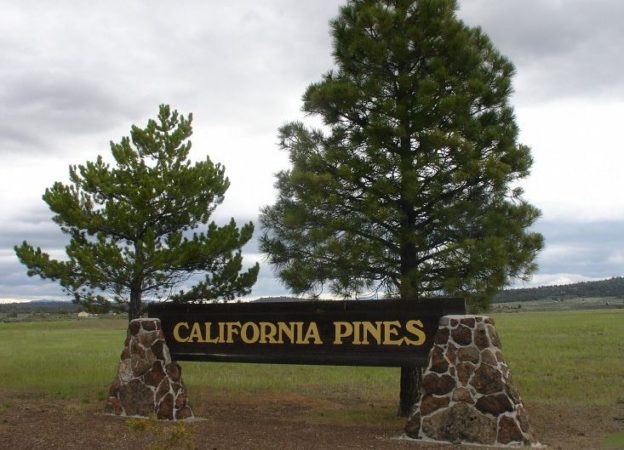 #L09855-1 1.17 Acres in California Pines, Modoc CA $7,299.00 ($120.16/Month)