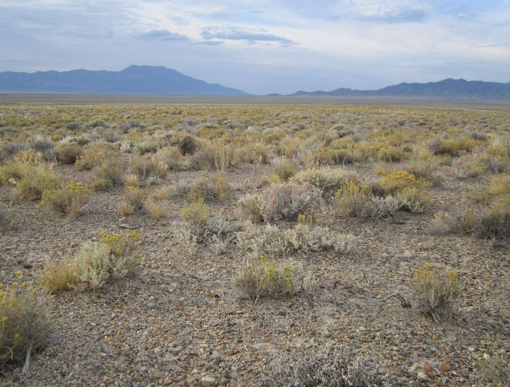 #L40048-1 2.27 Acres in Elko County, Nevada $6,999.00 ($88.55/ Month)