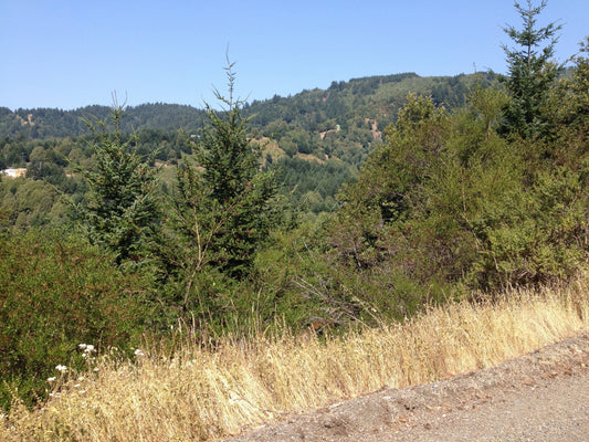 #L07346-1 Cul-de-sac Lot in Shelter Cove, Humboldt County CA $9,900.00 ($145.56/Month)