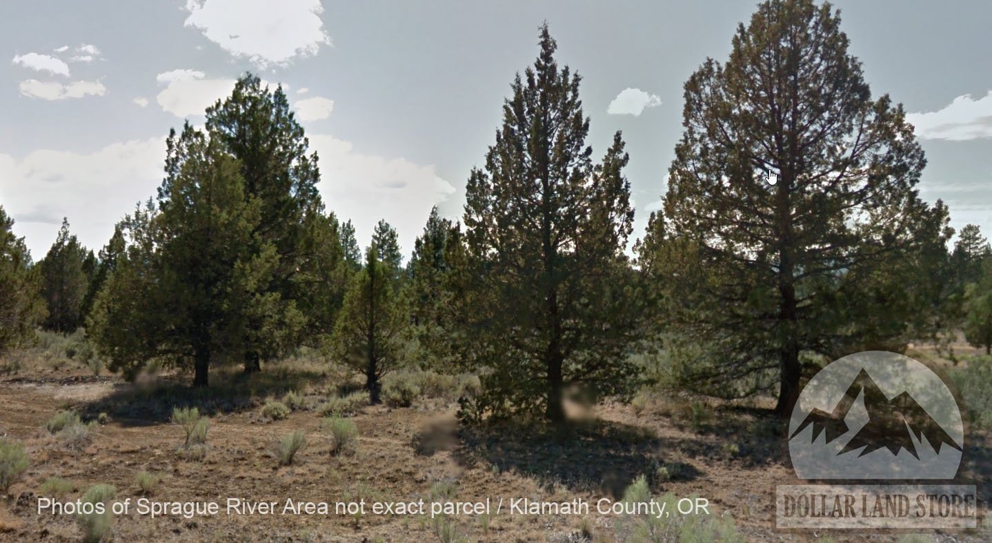 L206900-1 1.50 Acres in Oregon Pines Subdivison, Klamath County, OR $7,999.00 ($100.20/ Month)