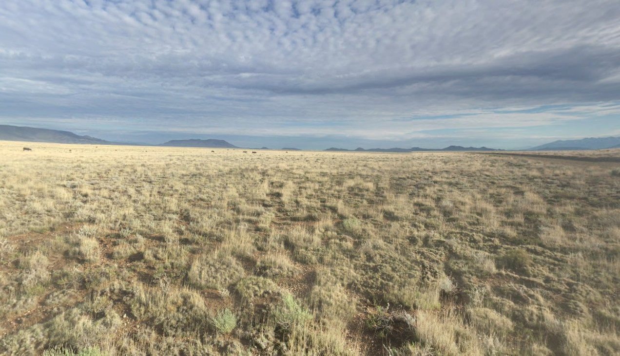 #L05883-1 5 Acres in Rio Grande Ranches Costilla, Colorado $9,995.00 ($135.69/Month)