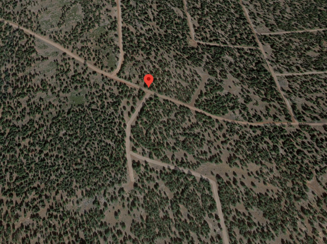 #L09855-1 1.17 Acres in California Pines, Modoc CA $7,299.00 ($120.16/Month)