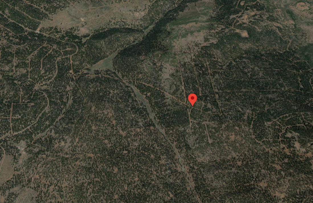 #L09855-1 1.17 Acres in California Pines, Modoc CA $7,299.00 ($120.16/Month)