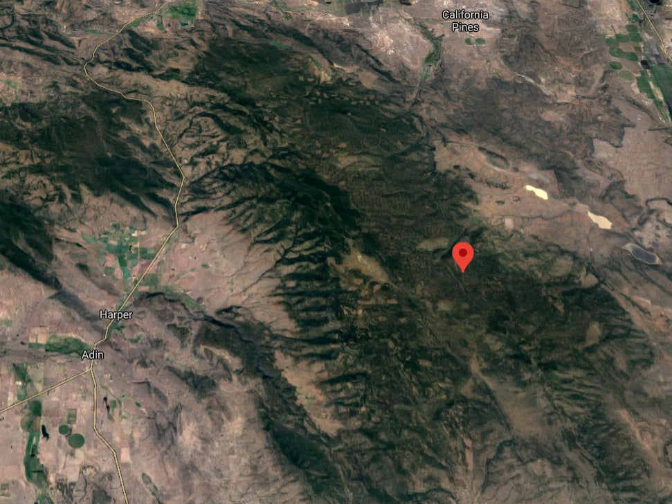 #L09855-1 1.17 Acres in California Pines, Modoc CA $7,299.00 ($120.16/Month)