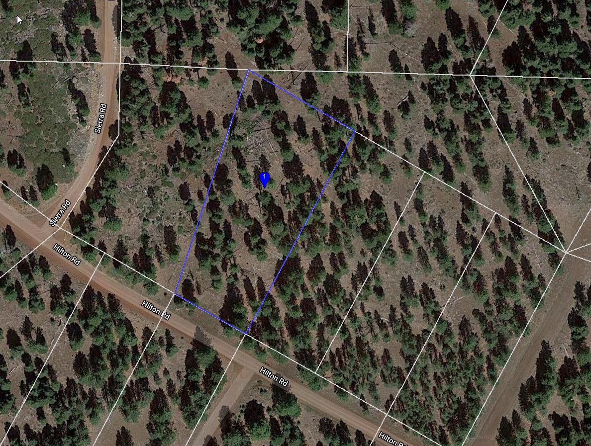 #L09855-1 1.17 Acres in California Pines, Modoc CA $7,299.00 ($120.16/Month)