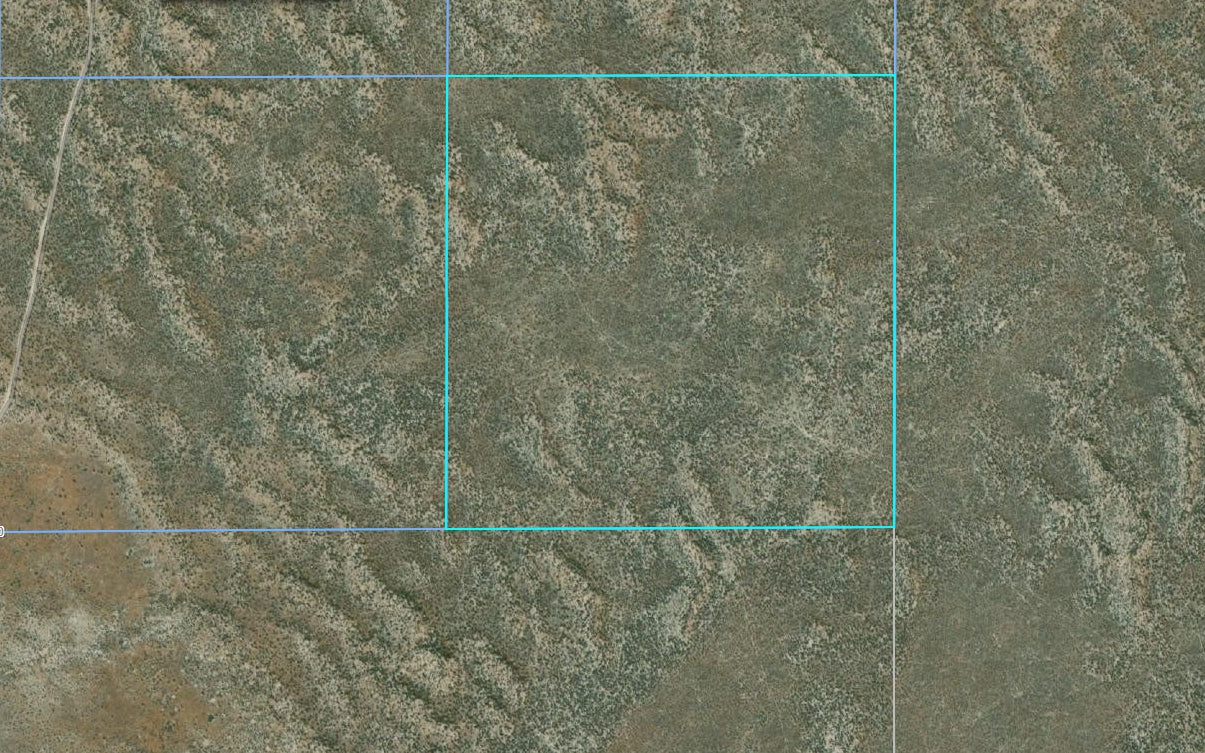 #L203941-1 40.70 Acres in Humboldt County, NV $20,799.00 ($235.70/Month)