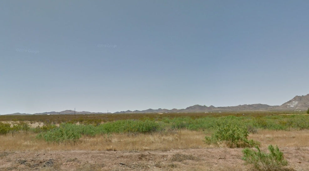 #L206690-1 10 Acres in Luna County, NM $8,999 ($125.39/Month)
