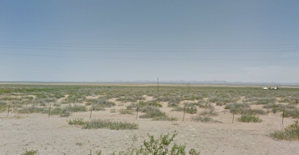 #L206690-1 10 Acres in Luna County, NM $8,999 ($111.48/Month)