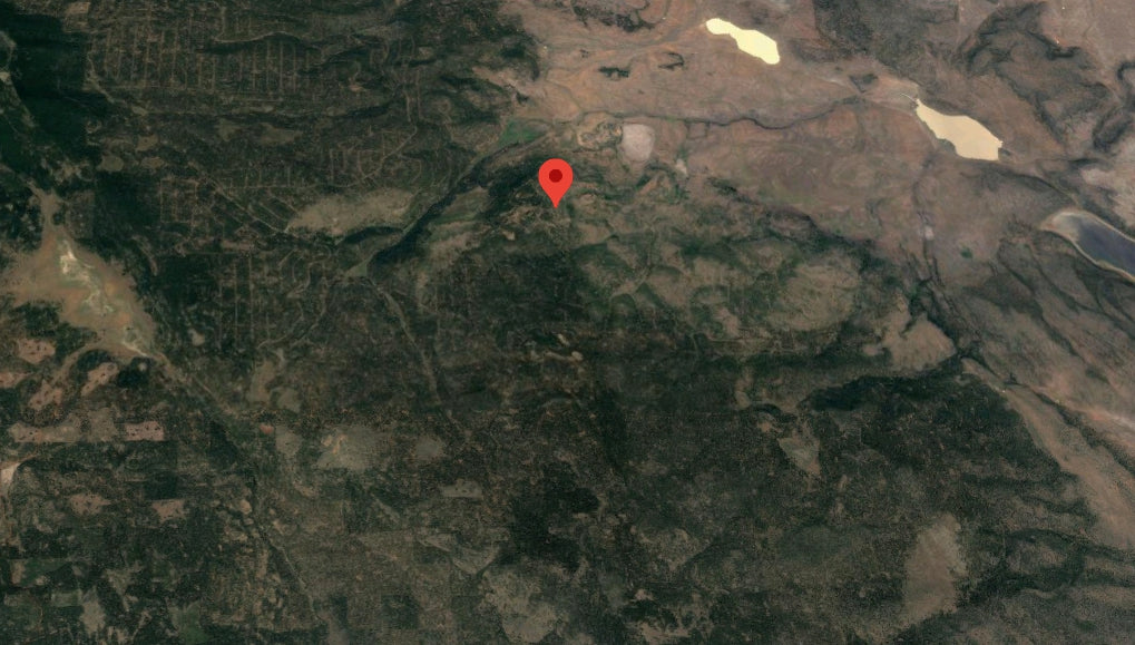 #L209847-1 .92 Acres in California Pines, Modoc CA $5,899.00 ($105.38/Month)