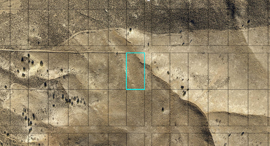#L40052-1 1.03 Acres in Elko County, Nevada $5,999.00 ($76.67/ Month)