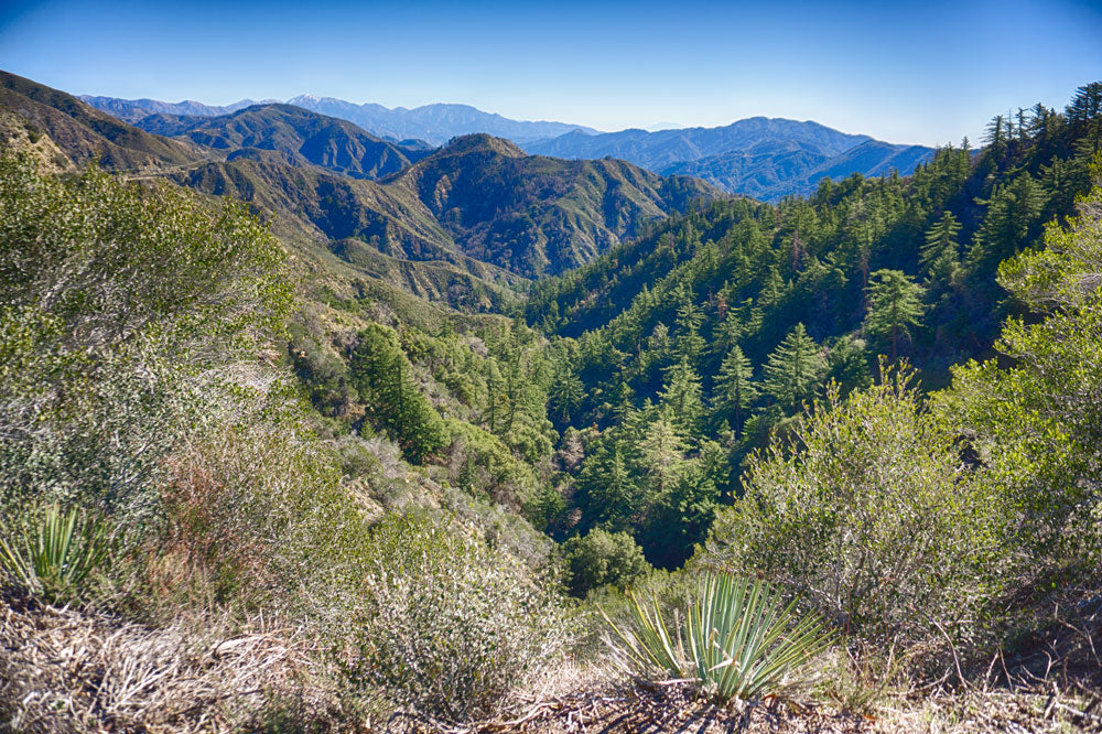 #L09855-1 1.17 Acres in California Pines, Modoc CA $7,299.00 ($120.16/Month)