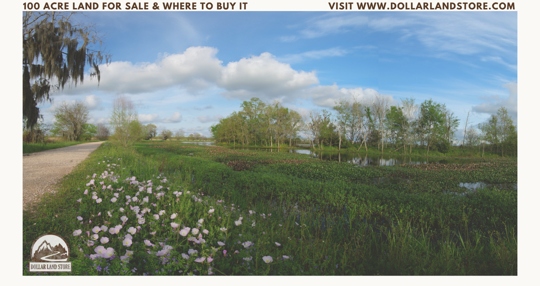 100 Acre Land for Sale: A First-Time Buyer's Guide