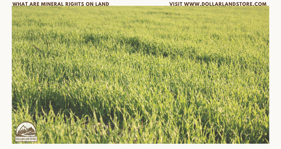 What Are Mineral Rights On Land: A Buyer's Complete Guide
