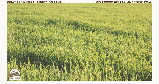 What Are Mineral Rights On Land: A Buyer's Complete Guide