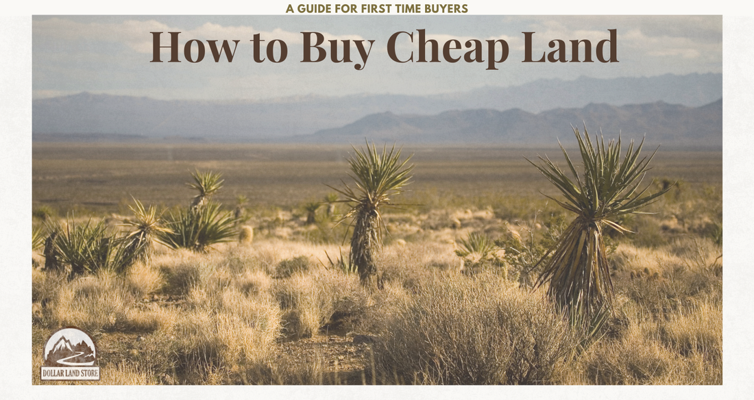 How to Buy Cheap Land: A Guide for First-Time Buyers