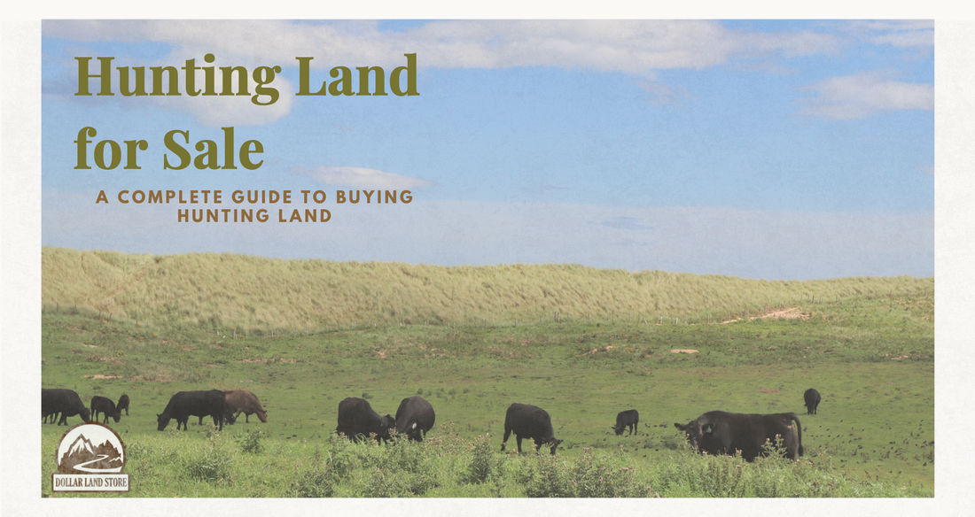 A Complete Guide to Buying Hunting Land for Sale