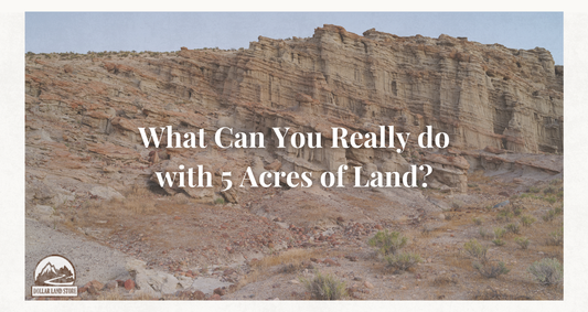 What Can You Do With 5 Acres of Land? A Buyer's Guide
