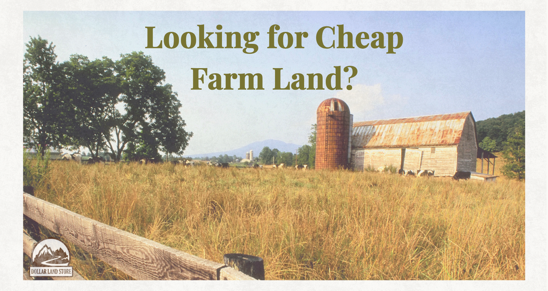 Your Guide to Finding Farm Land for Sale Near Me