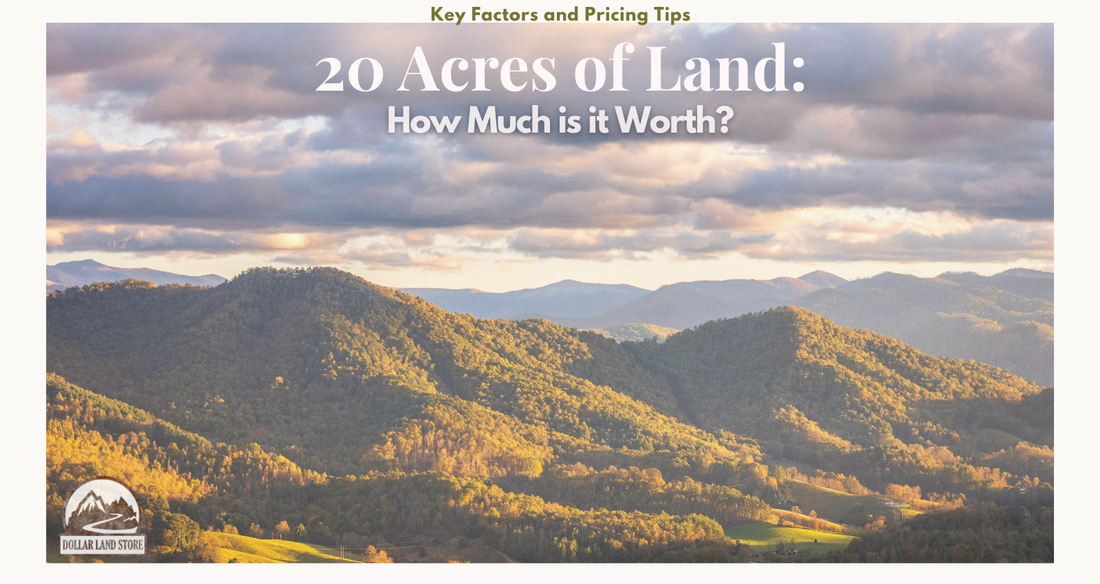 How Much Is 20 Acres of Land Worth? A Buyer's Guide