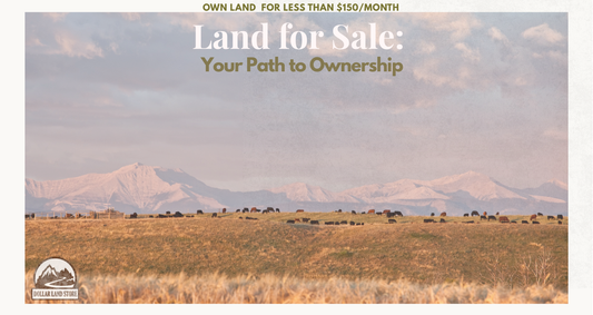 Land for Sale No Credit Check: Your Path to Ownership
