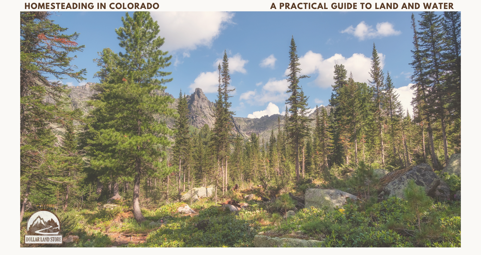 Homesteading in Colorado: A Practical Guide to Land and Water – Dollar ...
