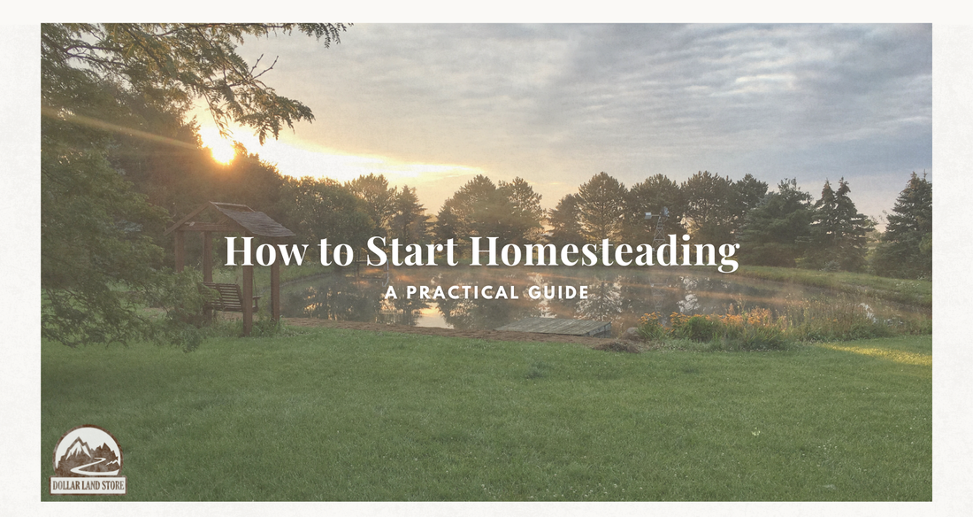 How to Start Homesteading with No Money: A Practical Guide