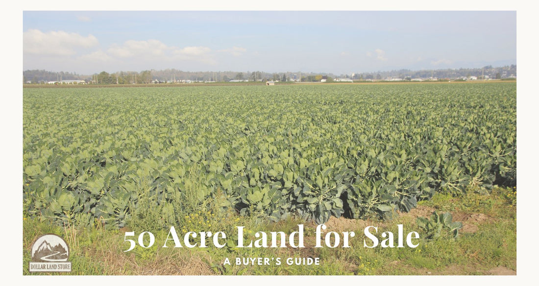 50 Acre Land Sale: A Buyer's Guide
