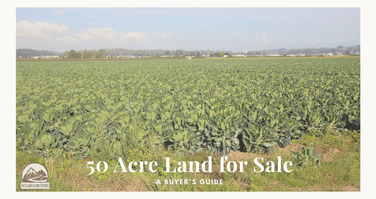 50 Acre Land Sale: A Buyer's Guide