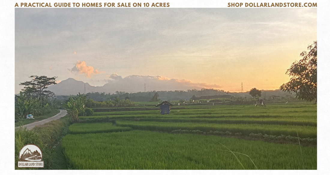 A Practical Guide to Homes for Sale on 10 Acres