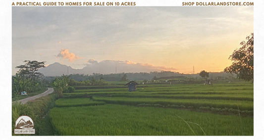 A Practical Guide to Homes for Sale on 10 Acres