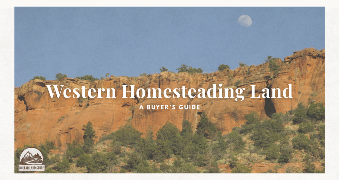 A Guide to Cheap Land for Homesteading in the West