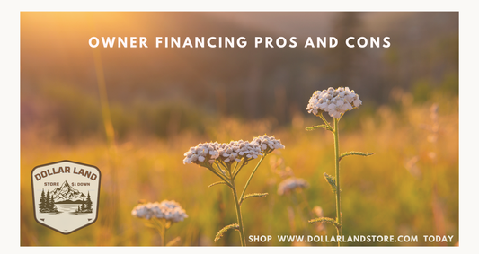 Owner Financing Pros and Cons for Buying Land
