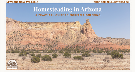 Homesteading in AZ: A Practical Guide for First-Time Land Buyers