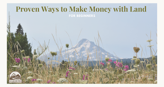 Proven Ways to Make Money With Land for Beginners