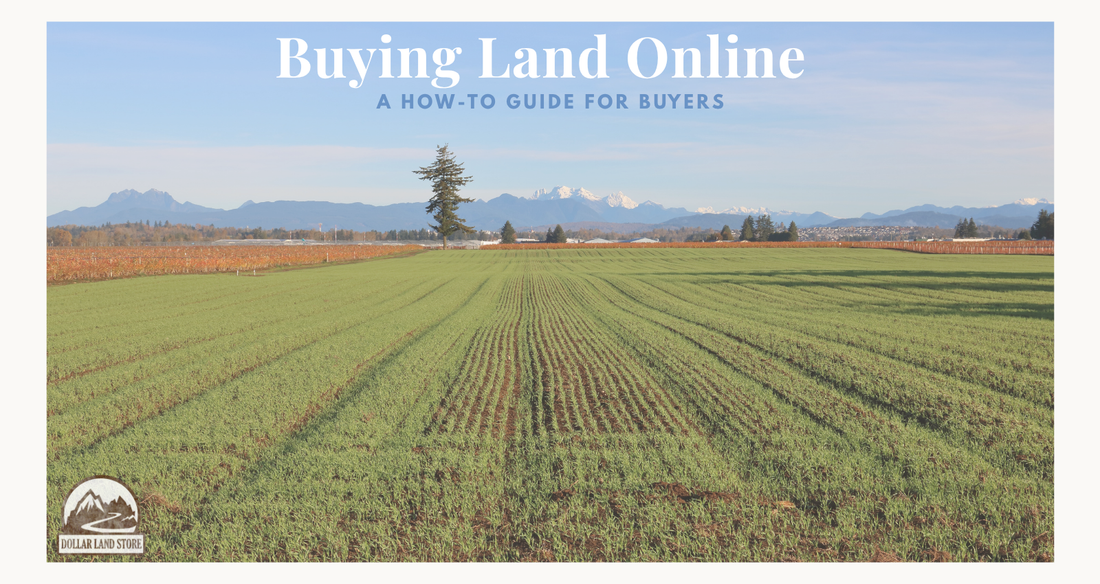 How to Buy Land Online a First-Timer's Practical Guide