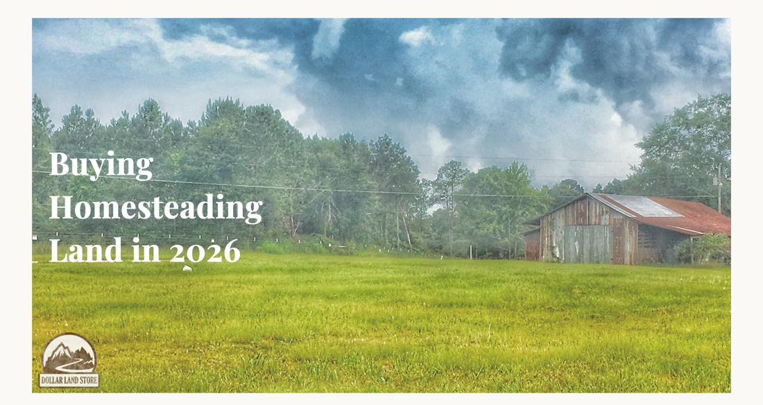 Buying Land for Homesteading: A Practical Guide